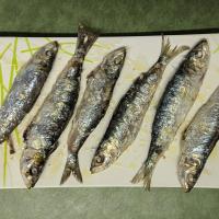 Fresh sardines 6 units